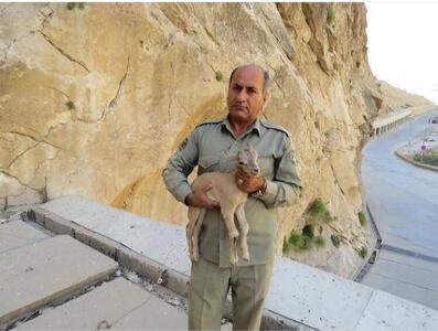 دستگیری دومین قاتل محیط‌بان شهید