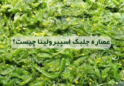 اسپیرولینا، جلبکی باستانی با خواصی بی نظیر و آینده ای درخشان - تسنیم