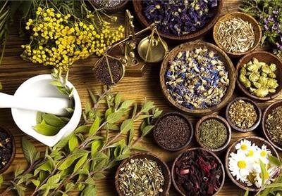 خطر انقراض گیاهان دارویی در سمنان/تخریب ذخایر‌ ارزشمند! - تسنیم