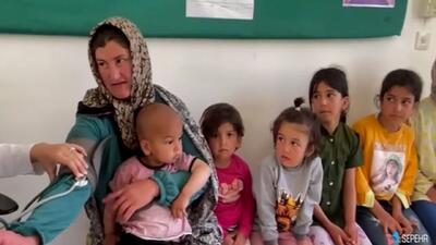 راستی‌آزمایی گزارش دستگاه‌ها در اجرای قانون جوانی جمعیت + فیلم