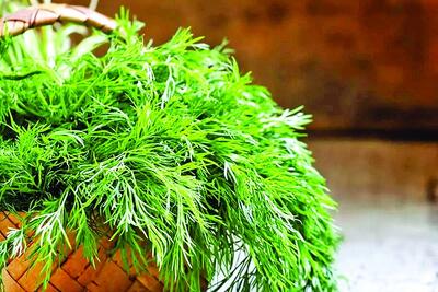 درمان طبیعی نفخ، بی‌خوابی و کلسترول