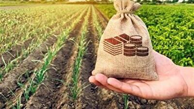 تمرکز بنیاد علوی به اشتغال آفرینی در روستاها