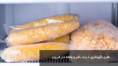 طرز نگهداری ذرت خام و پخته در فریزر برای مدت طولانی + مدت زمان نگهداری ذرت در فریزر