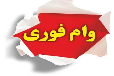 وام فوری 8 میلیونی برای همه! / با کد ملی وام بگیرید / شرایط آسان و اقساط باورنکردنی!