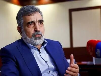 کمالوندی: غرب به دنبال محروم کردن ایران از دارایی‌های اقتدارآفرین است/ فشارها به ایران در شورای حکام سیاسی است