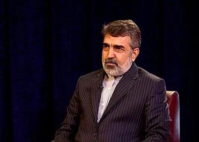 کمالوندی: ۱۲۰ بازرس آژانس در ایران همچنان مشغول فعالیت هستند