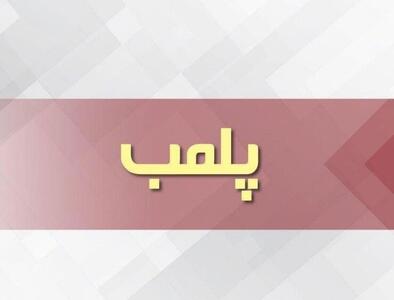 تولید شیرینی و بیسکویت‌ با طعم سوسک | تصاویر چندش آور از ظرف مواد شیرینی که سوسک مرده داشت + ویدئو