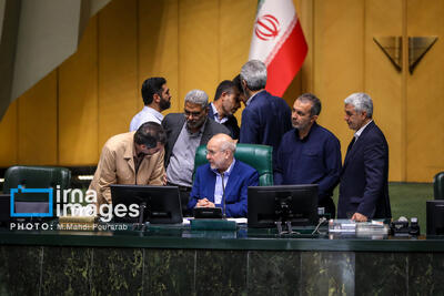 رئیس مجلس: تهمت وارده به نمایندگان را پیگیری می‌کنیم