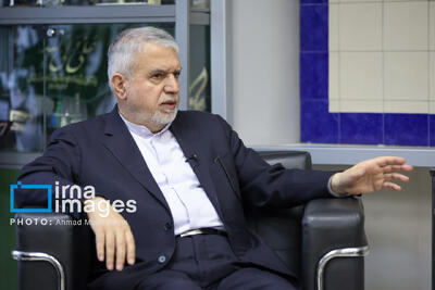 صالحی امیری: ایران‌هراسی باید با دیپلماسی فرهنگی خنثی شود