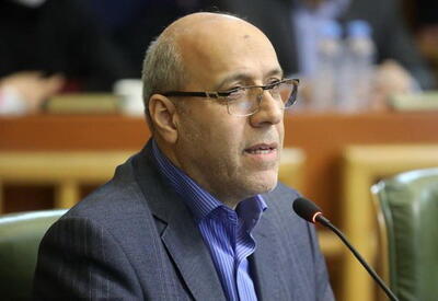 تاکسی اینترنتی به دلیل داشتن مجوز از نهادی دیگر، نمی‌توانند از نظارت شهرداری خارج شود/ ساماندهی مسافربرهای شخصی ضرورت فوری دارد