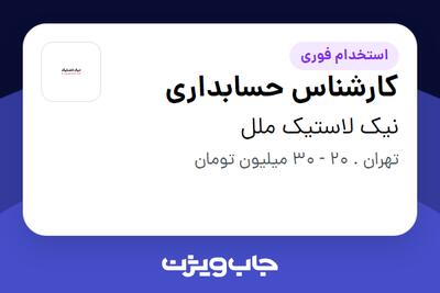 استخدام کارشناس حسابداری در نیک لاستیک ملل