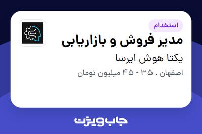 استخدام مدیر فروش و بازاریابی در یکتا هوش ایرسا