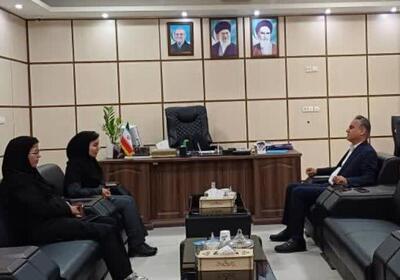 سمن‌ها بازوان دولت در مسائل اجتماعی هستند