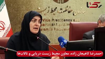 150 گونه غیربومی در ایران شناسایی شده است / با سازمان شیلات برای کنترل ماهی های غیربومی رایزنی کرده ایم /حذف کامل ماهی های مهاجم غیرممکن است + فیلم