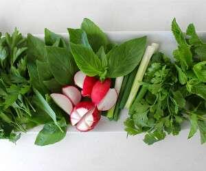ترفند تازه موندن سبزی شسته شده به مدت طولانی+فیلم - سبک ایده آل