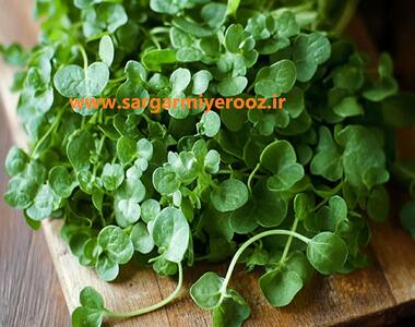 سلطان سبزی‌های شفابخش!