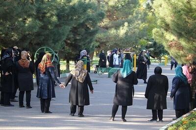 تمرکز ویژه روی «نشاط اجتماعی زنان»، برنامه اولویت دار سازمان بهزیستی کشور در سال ۱۴۰۴