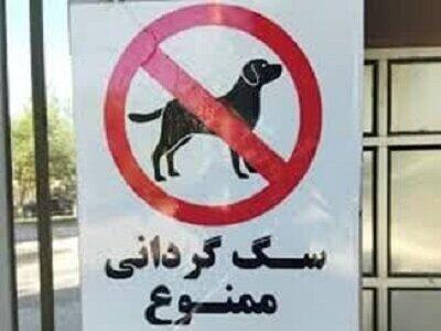 ممنوعیت سگ‌گردانی به مازندران هم رسید