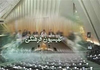 مجلس حواشی تیم دو و میدانی در کره جنوبی را بررسی می‌کند - تسنیم