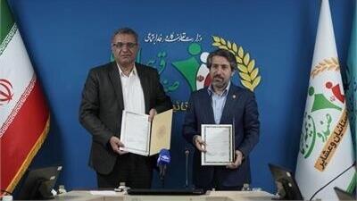 گسترش پوشش بیمه اجتماعی اعضای تعاونی‌های مرزنشین