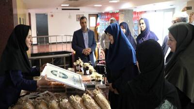 بازدید معاون رئیس‌جمهور از نمایشگاه محصولات محلی و صنایع‌دستی جوامع حاشیه تالاب‌ها