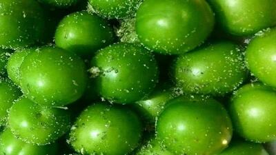 رتبه دوم آذربایجان شرقی در تولید گوجه سبز