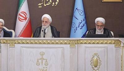توضیحات رئیس عدلیه در رابطه با موضوع قتل «الهه حسین‌نژاد»