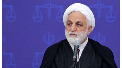 رسیدگی به پرونده قتل الهه حسین‌نژاد در نهایت دقت/ اجازه ندهیم امنیت روانی مخدوش شود
