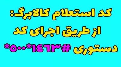 مرحله سوم کالابرگ الکترونیکی برای یارانه بگیران واریز می‌شود! / زمان دقیق واریز یارانه کالابرگ خرداد مشخص شد / راهنمای استفاده از کالابرگ الکترونیکی