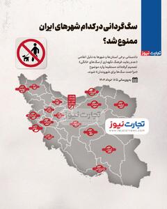اینفوگرافی/ آخرین وضعیت ممنوعیت سگ گردانی در شهر‌های ایران | اقتصاد24