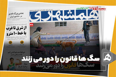 سگ ها قانون را دور می زنند