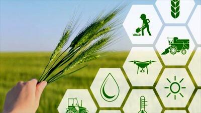 دانش‌محوری راه‌حل چالش‌های کشاورزی است/ لزوم افزایش تعرفه خدمات کشاورزی و دامپزشکی