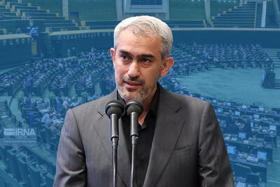 نماینده کرمانشاه: مدنی‌زاده با حکمرانی علمی، چشم‌انداز روشنی برای اقتصاد ترسیم می‌کند