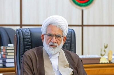 قضات مواردی که نیاز به اصلاح قانون دارد را اعلام کنند