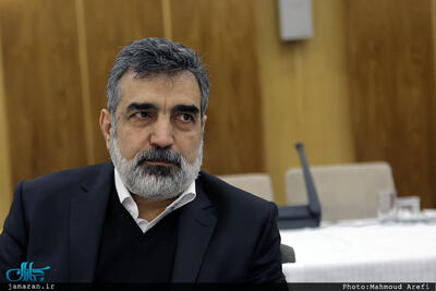 سخنگوی سازمان انرژی اتمی: ماجرای تورقوزآباد و ورامین خرابکاری بود/ صدور قطعنامه در شورای حکام به اسنپ‌بک منجر نمی‌شود/ سازمان‌های جاسوسی اطلاعات غلط در اختیار آژانس می‌گذارند و هدف اصلی این گزارش‌ها فشار به ایران است