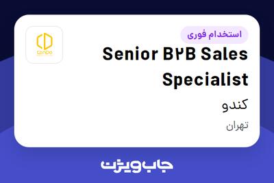 استخدام Senior B2B Sales Specialist در کندو