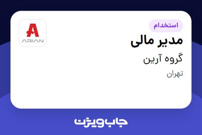 استخدام مدیر مالی در گروه آرین