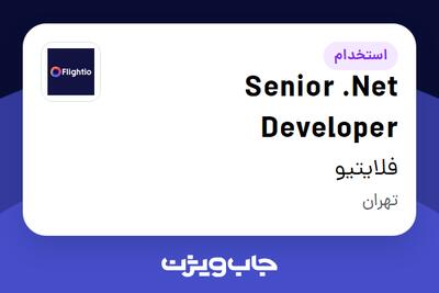 استخدام Senior .Net Developer در فلایتیو