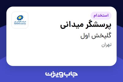 استخدام پرسشگر میدانی در گلپخش اول