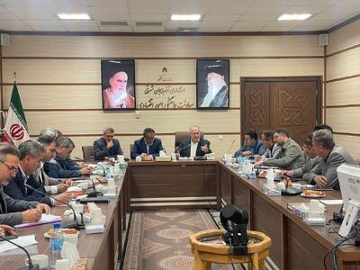کفش تبریز یک برند شناخته‌شده است