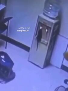 فیلم آب خوردن موش از آبسردکن