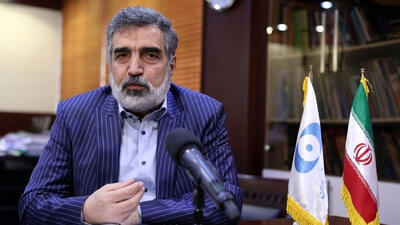 افزایش فشار بر ایران در آستانه نشست شورای حکام به روایت کمالوندی