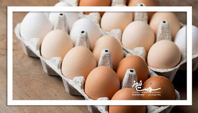 چرا مصرف این ماده غذایی ضروری است؟