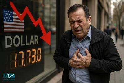 اتفاق ناگوار برای این خریداران دلار / حسابی مراقب باشید!