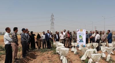 پنجاهمین سالگرد تحقیقات کشاورزی با رونمایی از ۳۰ دستاورد علمی در استان مرکزی