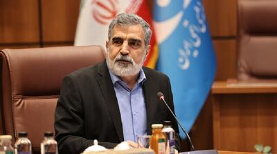 واکنش کمالوندی به احتمال تصویب قطعنامه در شورای حکام