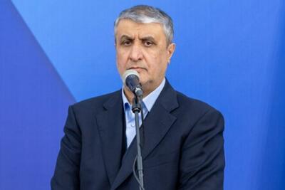 اسلامی: ساخت راکتور بومی با سوخت ایرانی در دستور کار است