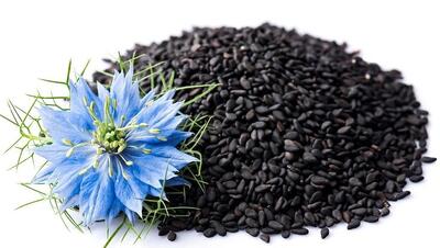 تاثیر سیاهدانه بر فشار خون