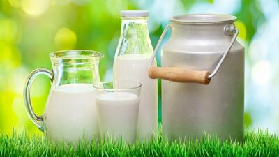 برای خواب راحت شیر گرم بهتر است یا سرد؟