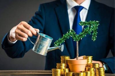 بررسی عملکرد یک سال «وملی»